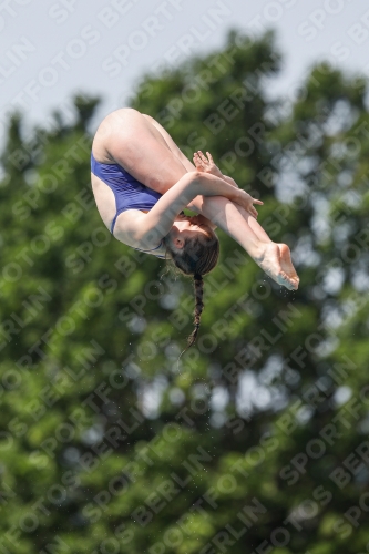 International Diving Meet Graz 2019 International Diving Meet Graz 2019 03030_13715.jpg