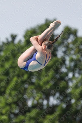 International Diving Meet Graz 2019 International Diving Meet Graz 2019 03030_13716.jpg