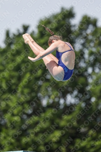 2019 - International Diving Meet Graz 2019 - International Diving Meet Graz 03030_13717.jpg