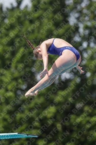 International Diving Meet Graz 2019 International Diving Meet Graz 2019 03030_13718.jpg