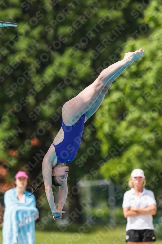 International Diving Meet Graz 2019 International Diving Meet Graz 2019 03030_13719.jpg