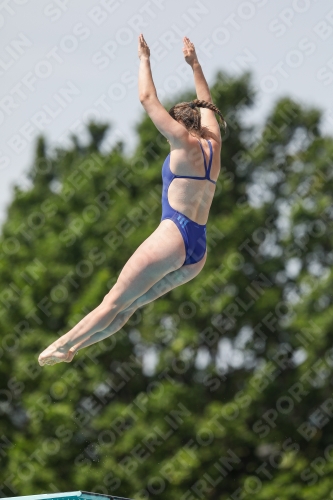 International Diving Meet Graz 2019 International Diving Meet Graz 2019 03030_13771.jpg