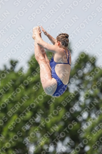 International Diving Meet Graz 2019 International Diving Meet Graz 2019 03030_13773.jpg