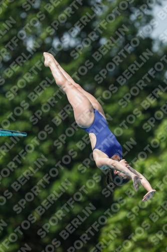 International Diving Meet Graz 2019 International Diving Meet Graz 2019 03030_13774.jpg