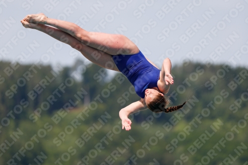 International Diving Meet Graz 2019 International Diving Meet Graz 2019 03030_13795.jpg