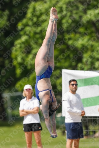 International Diving Meet Graz 2019 International Diving Meet Graz 2019 03030_13813.jpg