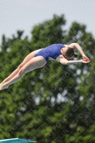 International Diving Meet Graz 2019 International Diving Meet Graz 2019 03030_13854.jpg