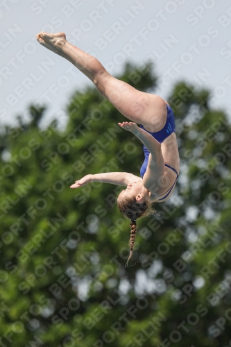 2019 - International Diving Meet Graz 2019 - International Diving Meet Graz 03030_13855.jpg