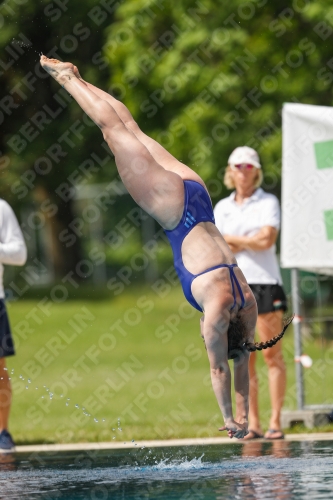 International Diving Meet Graz 2019 International Diving Meet Graz 2019 03030_13857.jpg