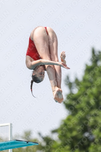 International Diving Meet Graz 2019 International Diving Meet Graz 2019 03030_13869.jpg