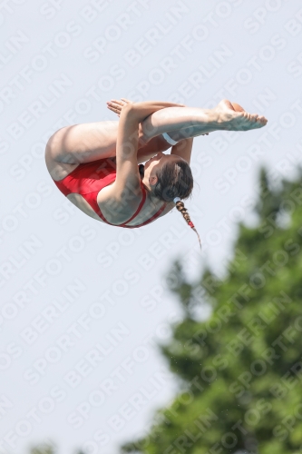 International Diving Meet Graz 2019 International Diving Meet Graz 2019 03030_13870.jpg