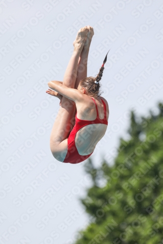 International Diving Meet Graz 2019 International Diving Meet Graz 2019 03030_13871.jpg