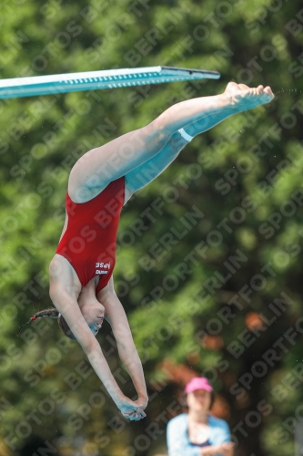 International Diving Meet Graz 2019 International Diving Meet Graz 2019 03030_13872.jpg