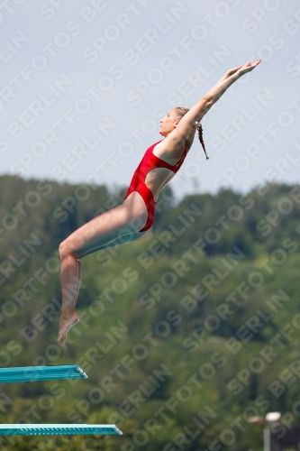 International Diving Meet Graz 2019 International Diving Meet Graz 2019 03030_13874.jpg