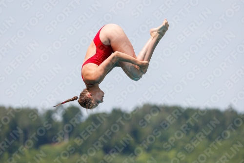 International Diving Meet Graz 2019 International Diving Meet Graz 2019 03030_13877.jpg