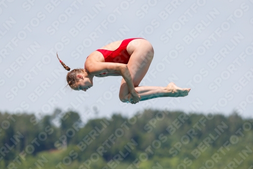 International Diving Meet Graz 2019 International Diving Meet Graz 2019 03030_13878.jpg