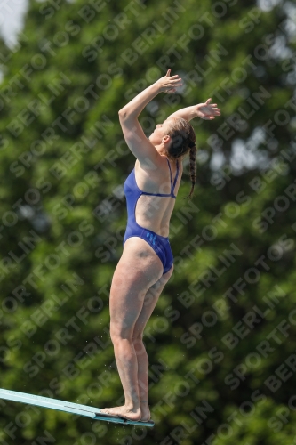 International Diving Meet Graz 2019 International Diving Meet Graz 2019 03030_13898.jpg