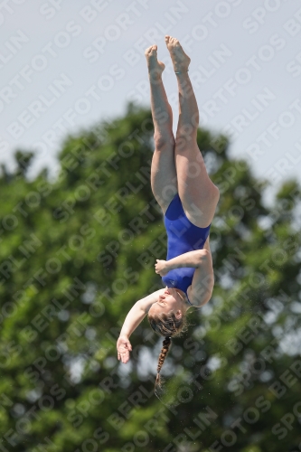 International Diving Meet Graz 2019 International Diving Meet Graz 2019 03030_13901.jpg