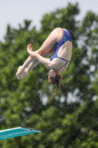 International Diving Meet Graz 2019 International Diving Meet Graz 2019 03030_13939.jpg