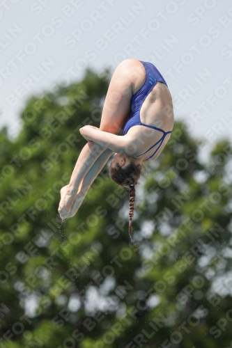 International Diving Meet Graz 2019 International Diving Meet Graz 2019 03030_13941.jpg