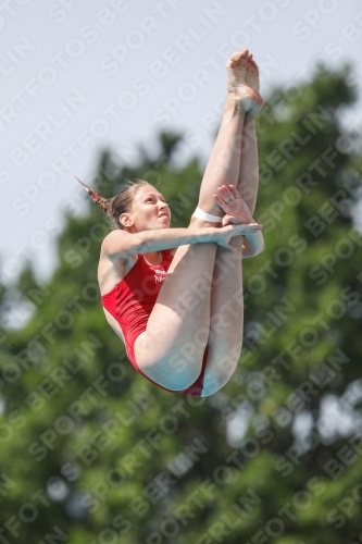 International Diving Meet Graz 2019 International Diving Meet Graz 2019 03030_13950.jpg