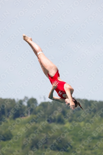 International Diving Meet Graz 2019 International Diving Meet Graz 2019 03030_13959.jpg