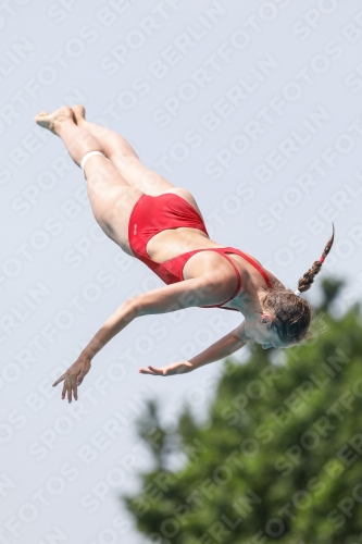 International Diving Meet Graz 2019 International Diving Meet Graz 2019 03030_14005.jpg