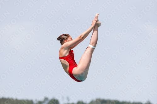 2019 - International Diving Meet Graz 2019 - International Diving Meet Graz 03030_14014.jpg