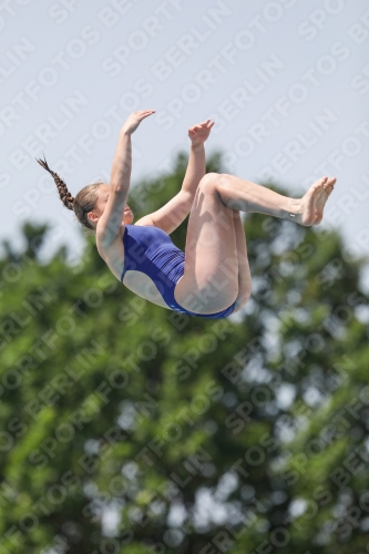 International Diving Meet Graz 2019 International Diving Meet Graz 2019 03030_14114.jpg