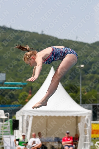 International Diving Meet Graz 2019 International Diving Meet Graz 2019 03030_14860.jpg