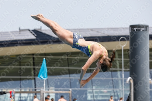 International Diving Meet Graz 2019 International Diving Meet Graz 2019 03030_15101.jpg