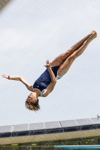 International Diving Meet Graz 2019 International Diving Meet Graz 2019 03030_15175.jpg