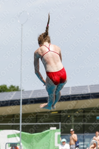 International Diving Meet Graz 2019 International Diving Meet Graz 2019 03030_15202.jpg