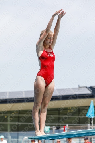 International Diving Meet Graz 2019 International Diving Meet Graz 2019 03030_15310.jpg