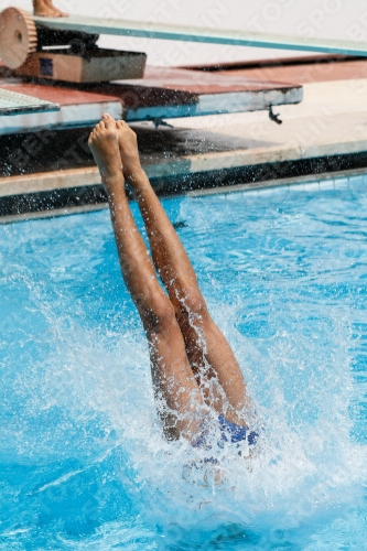 2019 - Roma Junior Diving Cup 2019 - Roma Junior Diving Cup 03033_16209.jpg