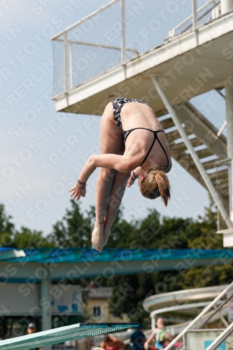 2022 - International Diving Meet Graz 2022 - International Diving Meet Graz 03056_24447.jpg