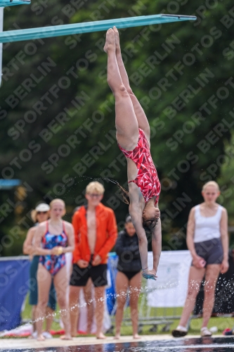 2023 - International Diving Meet Graz 2023 - International Diving Meet Graz 03060_10416.jpg