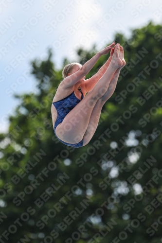 2023 - International Diving Meet Graz 2023 - International Diving Meet Graz 03060_10721.jpg