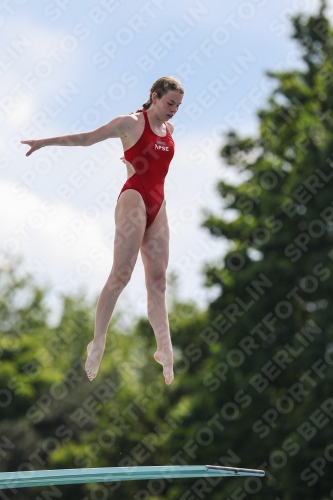 2023 - International Diving Meet Graz 2023 - International Diving Meet Graz 03060_10725.jpg