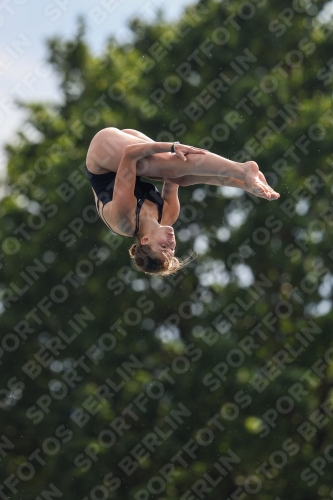 2023 - International Diving Meet Graz 2023 - International Diving Meet Graz 03060_11570.jpg