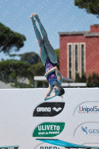 2023 - Roma Junior Diving Cup 2023 - Roma Junior Diving Cup 03064_11581.jpg