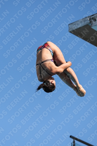 2023 - Roma Junior Diving Cup 2023 - Roma Junior Diving Cup 03064_12691.jpg