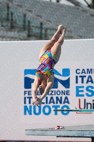 2023 - Roma Junior Diving Cup 2023 - Roma Junior Diving Cup 03064_15016.jpg