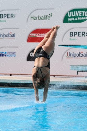 2023 - Roma Junior Diving Cup 2023 - Roma Junior Diving Cup 03064_15516.jpg