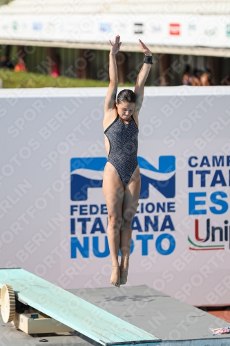 2023 - Roma Junior Diving Cup 2023 - Roma Junior Diving Cup 03064_16471.jpg