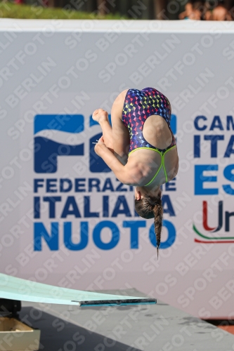 2023 - Roma Junior Diving Cup 2023 - Roma Junior Diving Cup 03064_16487.jpg