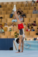 Thumbnail - Portugal - BTFB-Événements - 2018 - 23rd Junior Team Cup - Participants 01018_07798.jpg