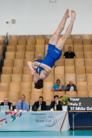 Thumbnail - Team 2 - Mirko Galimberti - BTFB-События - 2018 - 23rd Junior Team Cup - Participants - Italy 01018_09239.jpg