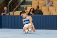 Thumbnail - Ramin Damirov - BTFB-Événements - 2018 - 23rd Junior Team Cup - Participants - Azerbaijan 01018_09612.jpg