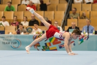 Thumbnail - Valentin Beskhmelnitsyn - BTFB-Événements - 2018 - 23rd Junior Team Cup - Participants - Russia 01018_13318.jpg